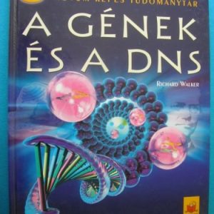 A gének és a DNS
