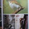 Képes madárenciklopédia