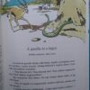 Hogyan győzte le a jaguárt a teknős?