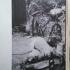 Filmélet 1968/1