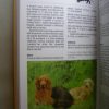 Tanácsadó kézikönyv kis testű kutya választásához