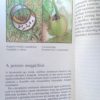 Kis etológia