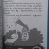 A sirály a király?