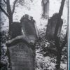 Itt van elrejtve – Tokaj-hegyaljai zsidó temetők