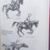 Ló és lovaglás