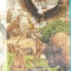 A Föld állatai – Kirakóskönyv