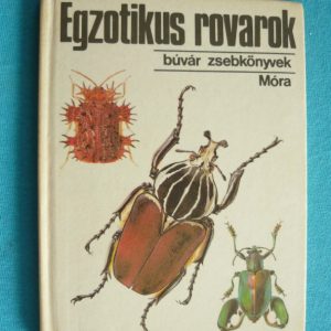 Egzotikus rovarok – Búvár zsebkönyvek