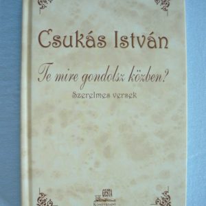 Te mire gondolsz közben? – Szerelmes versek