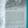 Fehérke