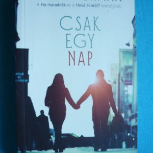 Csak egy nap