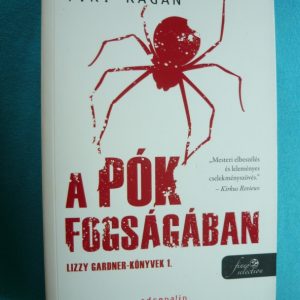 A pók fogságában – Lizzy Gardner 1.