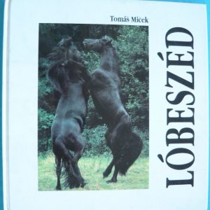 Lóbeszéd