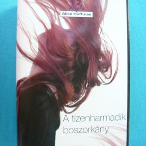 A tizenharmadik boszorkány