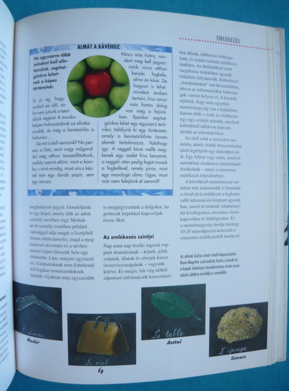 Használja ki elméjét 100 %-ig 2 Használja ki elméjét 100 %-ig