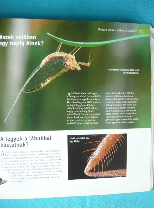 1001 kérdés és válasz a tudomány világából 3 1001 kérdés és válasz a tudomány világából