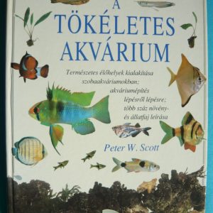 A tökéletes akvárium