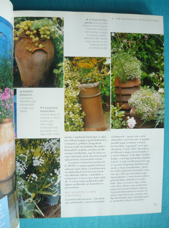 Kertészkedjünk balkonon, teraszon 3 Kertészkedjünk balkonon, teraszon!