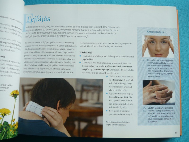 Örökzöld házi praktikák 2 Örökzöld házi praktikák