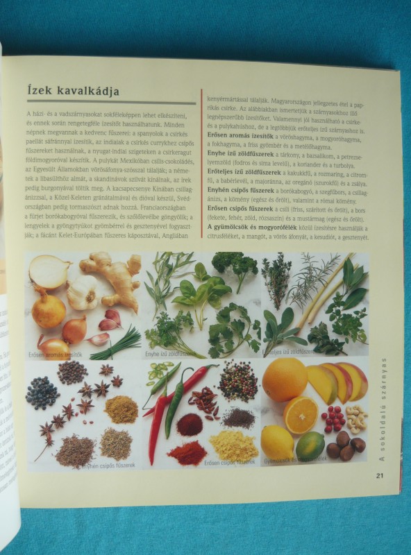 Szárnyasok 2 Szárnyasok