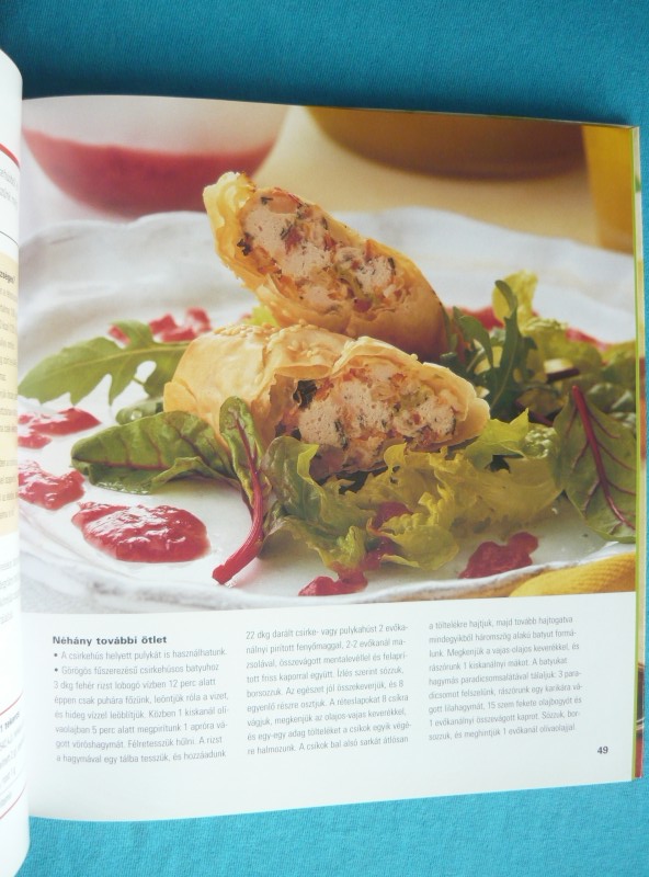 Szárnyasok 4 Szárnyasok