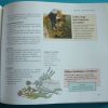 Természetes gyógymódok a mindennapi gyakorlatban