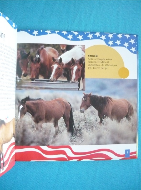 Amerikai álomlovak 2 Amerikai álomlovak