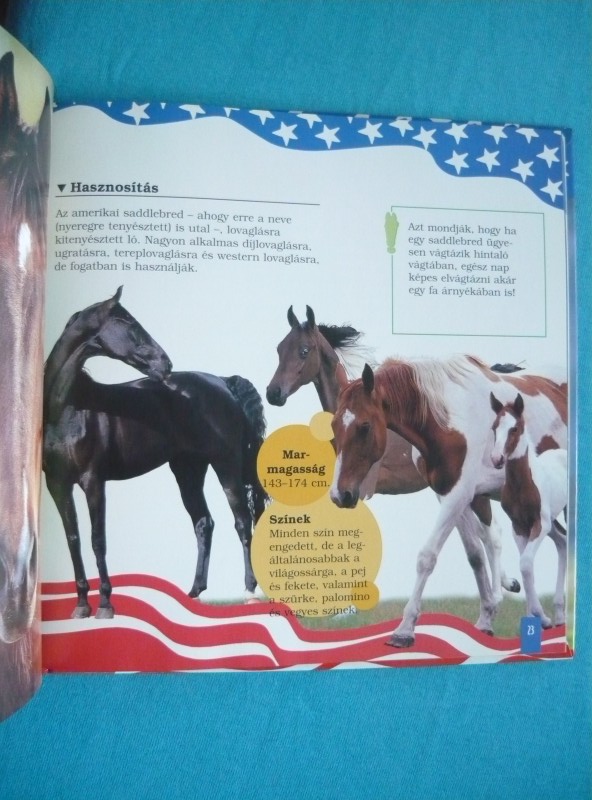 Amerikai álomlovak 3 Amerikai álomlovak