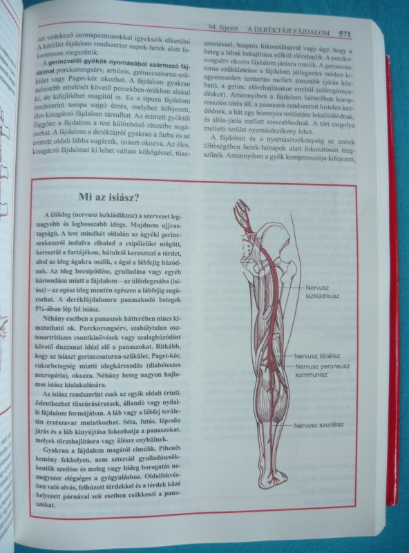 MSD orvosi kézikönyv a családban 3 MSD orvosi kézikönyv a családban
