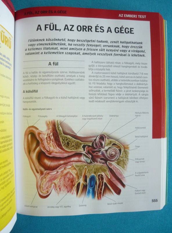 Új nagy egészségkönyv 3 Új nagy egészségkönyv