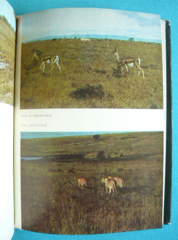 Denaturált Afrika 3 Denaturált Afrika