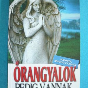 Őrangyalok pedig vannak…