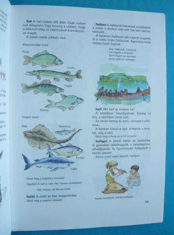 Ablak zsiráf 2 Ablak – Zsiráf
