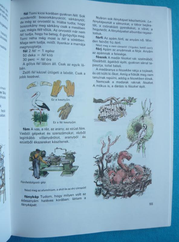 Ablak zsiráf 3 Ablak – Zsiráf