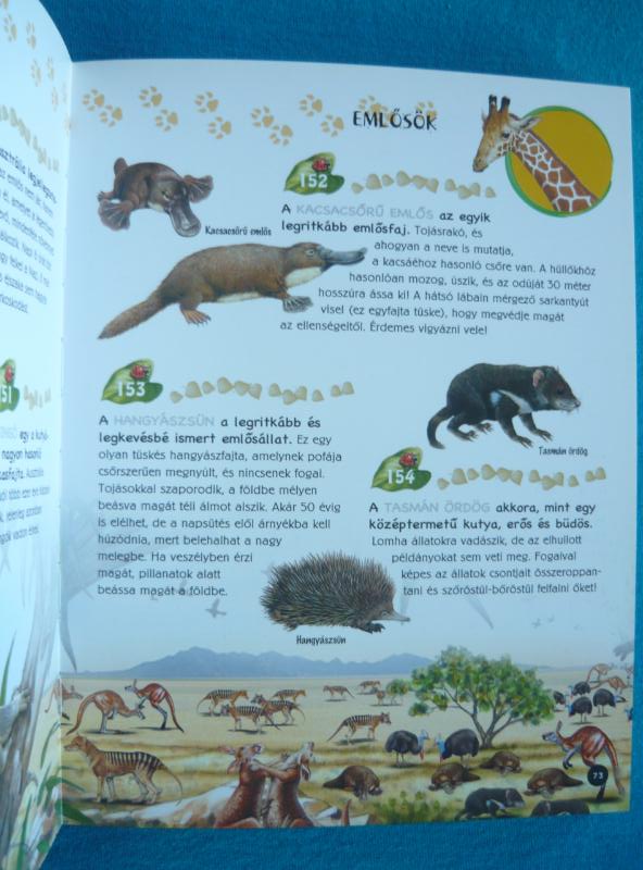 500 érdekesség az állatokról 2 500 érdekesség az állatokról