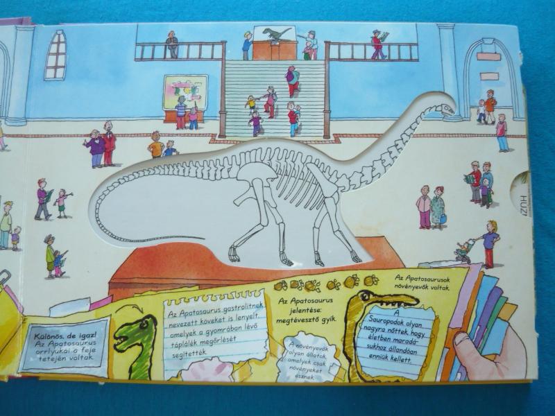 A dinoszauruszok csodás titkai 2 A dinoszauruszok csodás titkai