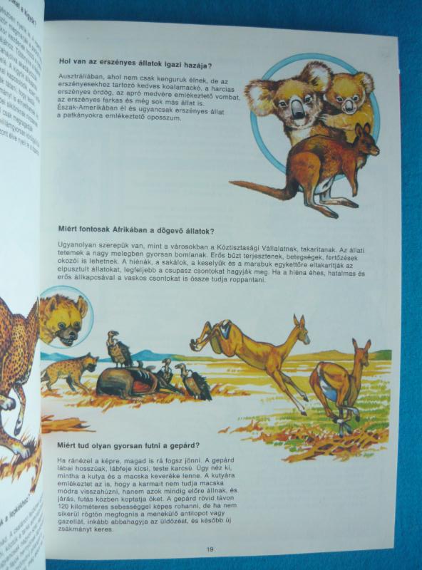 Kérdések világa 2 Kérdések világa