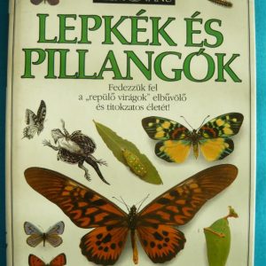Lepkék és pillangók