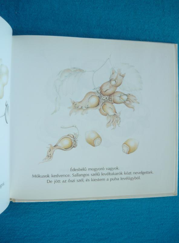 Termések 2 Termések