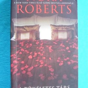 A tökéletes társ – Boonsboro Inn III.