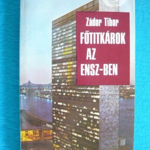 Főtitkárok az ENSZ-ben