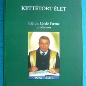 Kettétört élet